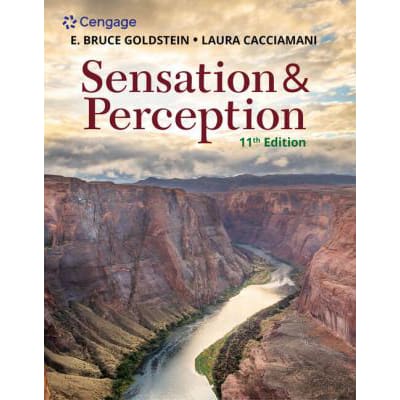 Sensation &amp; Perception