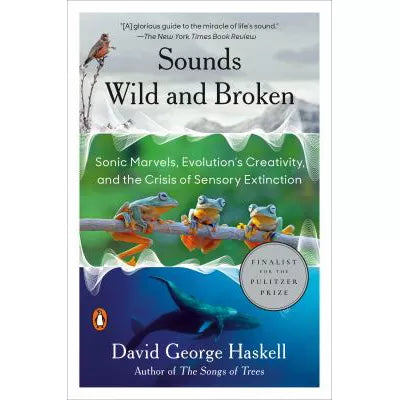 Sounds Wild &amp; Broken
